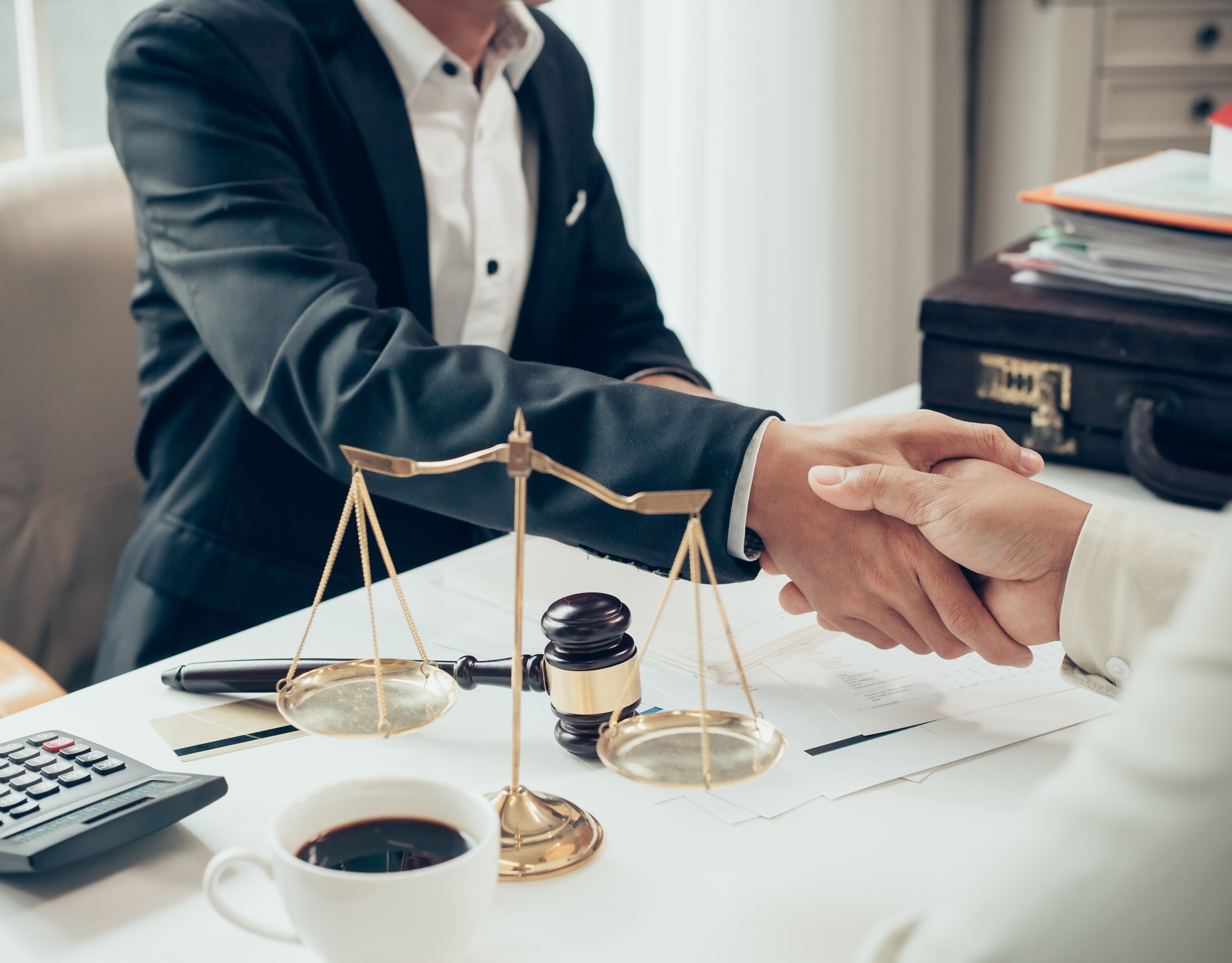 Man Shaking Hands With Client